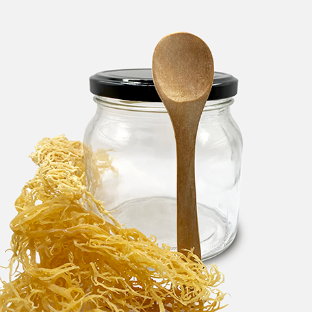 SEA MOSS DIY KIT
